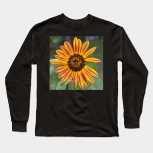 Orange and Yellow Sunflower Missing Petals 2 Photographic Image Long Sleeve T-Shirt